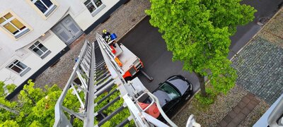 Foto des Albums: Einsatz 108/2021 - Vogel