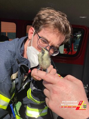 Foto des Albums: Tier in Not - Talstraße
