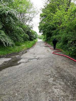 Insgesamt wurden 45 B-Schl&auml;uche verlegt. Foto: Frank Herrling  (Bild vergr&ouml;&szlig;ern)