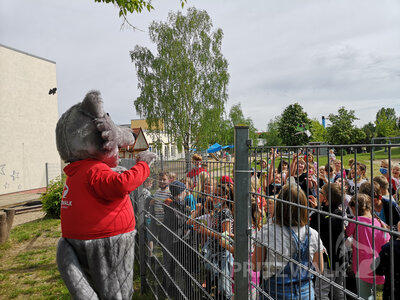 am Zaun zur Jahrgrundschule  (Bild vergr&ouml;&szlig;ern)