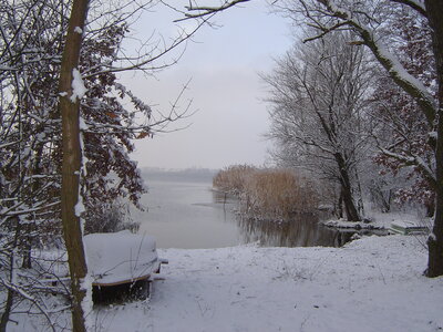 Foto des Albums: Winterrundgang (09.01.2021)