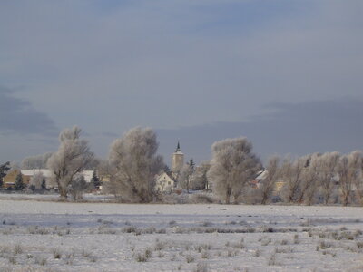 Foto des Albums: Winterrundgang (09.01.2021)