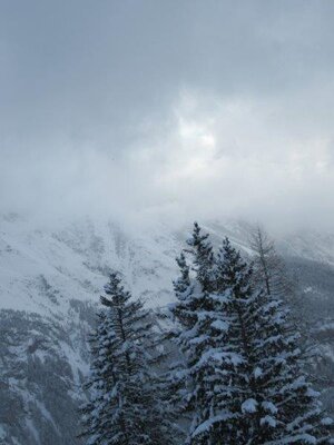 Foto des Albums: 2. Schneesportschulsonntag