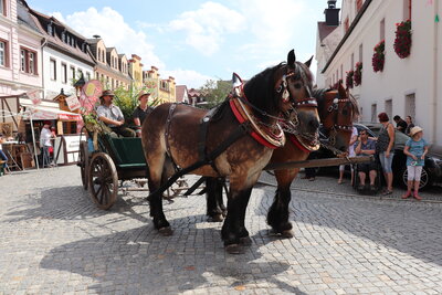 Foto des Albums: Sommerfest 2018
