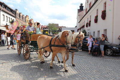 Foto des Albums: Sommerfest 2018