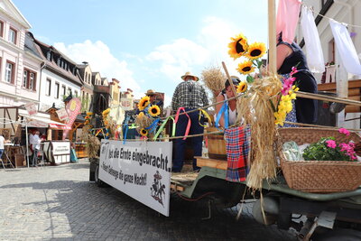 Foto des Albums: Sommerfest 2018