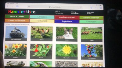 Foto des Albums: ipads
