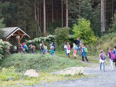 Foto des Albums: Wandertag