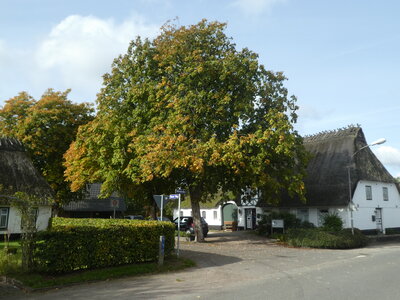 Foto des Albums: Dorf