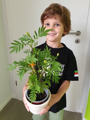Foto des Albums: Einschulungskinder 2021