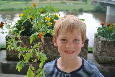 Foto des Albums: Einschulungskinder 2021