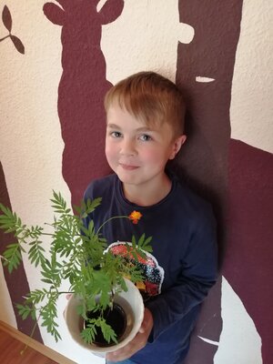 Foto des Albums: Einschulungskinder 2021