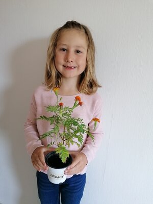 Foto des Albums: Einschulungskinder 2021