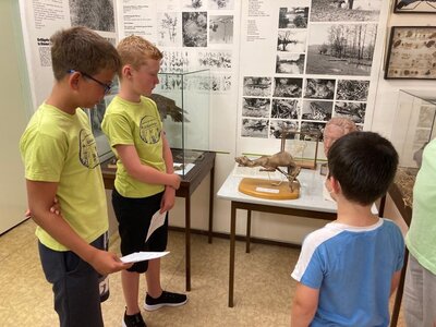 Foto des Albums: Sternefahrt im Museum Altkirchen