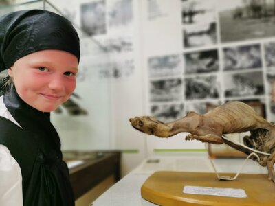 Foto des Albums: Sternefahrt im Museum Altkirchen