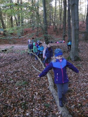 Foto des Albums: Wandertag