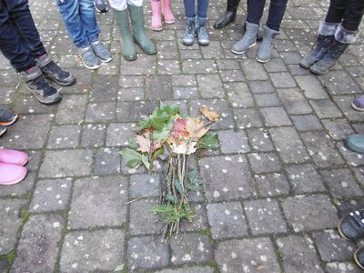 Foto des Albums: Schulwandertag