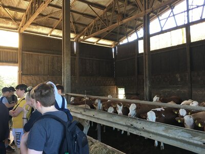 Foto des Albums: Oberschüler aus Glöwen erkunden Landwirtschaftsbetrieb im Rahmen der Berufsorientierung (17. 06. 2021)