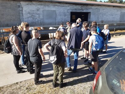 Foto des Albums: Oberschüler aus Glöwen erkunden Landwirtschaftsbetrieb im Rahmen der Berufsorientierung (17. 06. 2021)