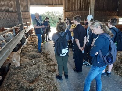 Foto des Albums: Oberschüler aus Glöwen erkunden Landwirtschaftsbetrieb im Rahmen der Berufsorientierung (17. 06. 2021)