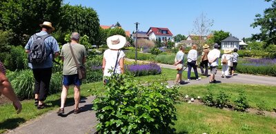 Foto des Albums: Zu Besuch bei den Rosen in Bad Langensalza (17.06.2021)