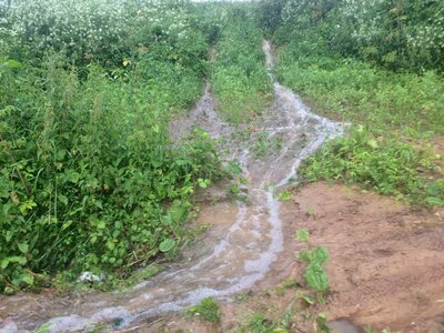 Wasser aus Maisfeld oberhalb der Grillh&uuml;tte 