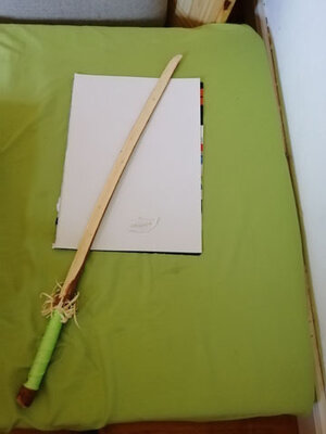 Foto des Albums: Siegerehrung der Challenges Schule ohne Schüler und Sport