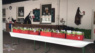 Foto des Albums: Radio Salü Frühstück