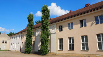 Foto des Albums: Pappelrondel am Schloss Paretz wieder grün (12.07.2021)
