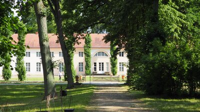 Foto des Albums: Pappelrondel am Schloss Paretz wieder grün (12.07.2021)