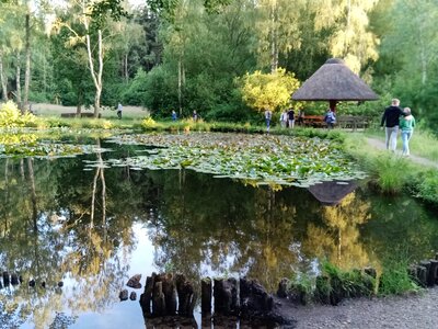 Foto des Albums: Sommerferienprogramm 2021