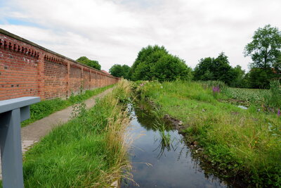 Am Bredenbecker Bach  (Bild vergr&ouml;&szlig;ern)