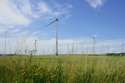 Windr&auml;der zwischen Bennigsen und Gestorf  (Bild vergr&ouml;&szlig;ern)