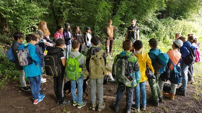 Foto des Albums: Waldmobil