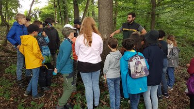 Foto des Albums: Waldmobil