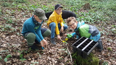 Foto des Albums: Waldmobil