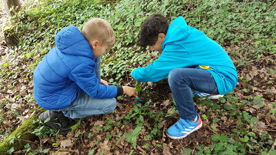 Foto des Albums: Waldmobil