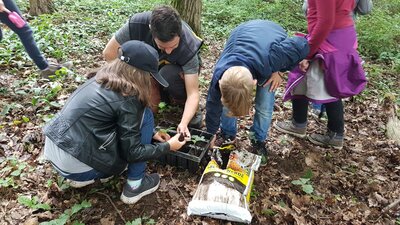 Foto des Albums: Waldmobil