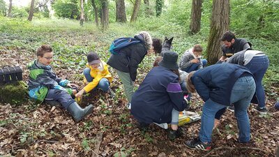Foto des Albums: Waldmobil