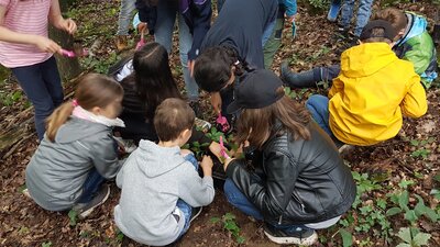 Foto des Albums: Waldmobil