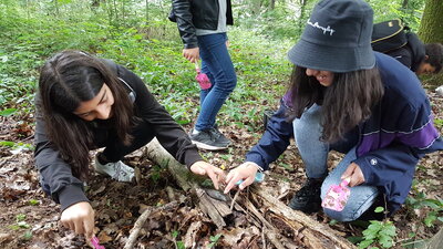 Foto des Albums: Waldmobil