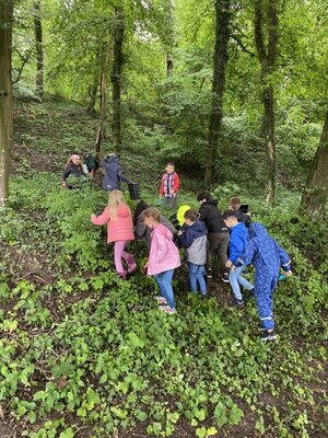 Foto des Albums: Waldmobil