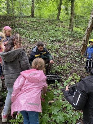 Foto des Albums: Waldmobil