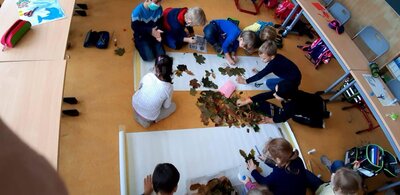 Foto des Albums: Fotos der Betreuung