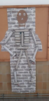 Skeletti der 1c 