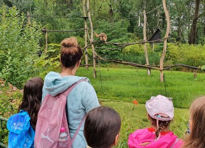 Foto des Albums: Tierparkbesuch Kl. 1a / 1b (12.07.2021)