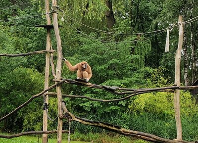 Foto des Albums: Tierparkbesuch Kl. 1a / 1b (12.07.2021)