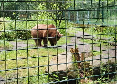 Foto des Albums: Tierparkbesuch Kl. 1a / 1b (12.07.2021)