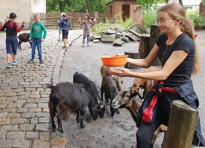 Foto des Albums: Tierparkbesuch Kl. 1a / 1b (12.07.2021)