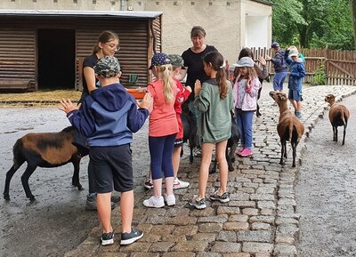 Foto des Albums: Tierparkbesuch Kl. 1a / 1b (12.07.2021)